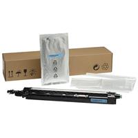 HP Color LaserJet Managed MFP E87640  E87650  E87660 Cyan Developer Unit (720 000 Yield)