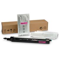 HP Color LaserJet Managed MFP E87640  E87650  E87660 Magenta Developer Unit (720 000 Yield)